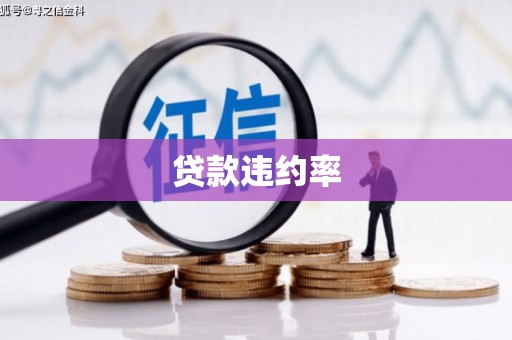 华阴贷款违约率