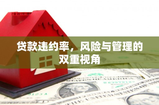 华阴贷款违约率，风险与管理的双重视角