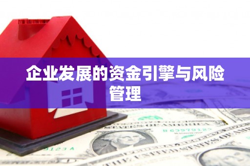 华阴企业发展的资金引擎与风险管理