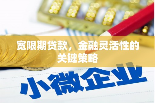 华阴宽限期贷款，金融灵活性的关键策略