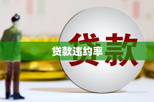 华阴贷款违约率