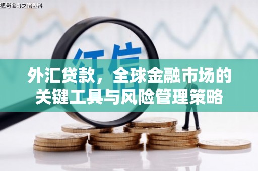 华阴外汇贷款，全球金融市场的关键工具与风险管理策略