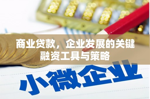 华阴商业贷款，企业发展的关键融资工具与策略