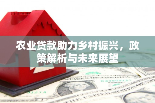 华阴农业贷款助力乡村振兴，政策解析与未来展望