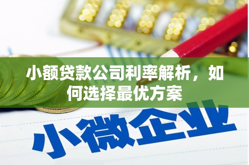 华阴小额贷款公司利率解析，如何选择最优方案