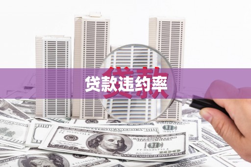 华阴贷款违约率