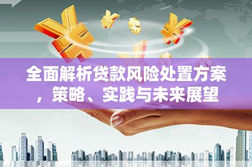 华阴全面解析贷款风险处置方案，策略、实践与未来展望