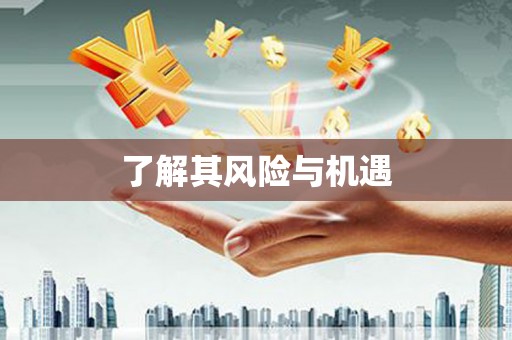 华阴了解其风险与机遇