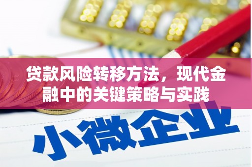 华阴贷款风险转移方法，现代金融中的关键策略与实践