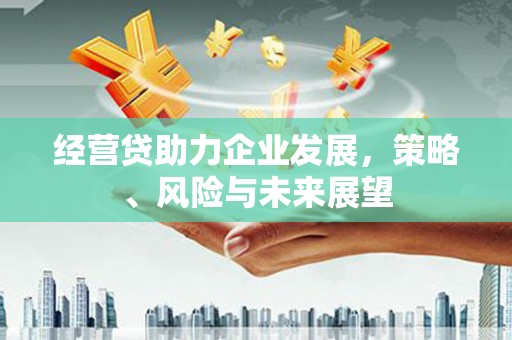 华阴经营贷助力企业发展，策略、风险与未来展望