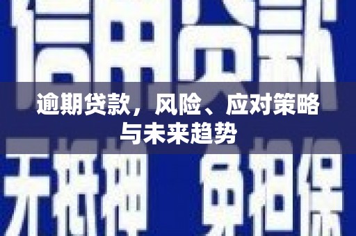 华阴逾期贷款，风险、应对策略与未来趋势