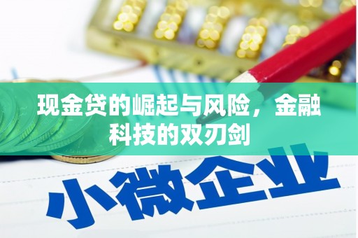 华阴现金贷的崛起与风险，金融科技的双刃剑