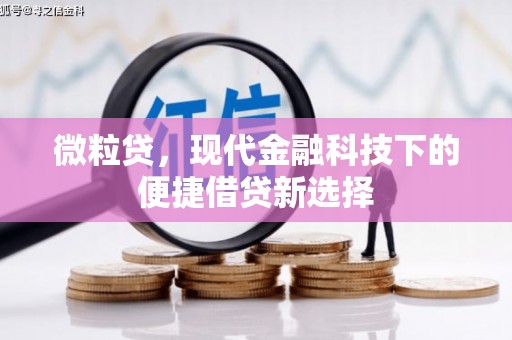 华阴微粒贷，现代金融科技下的便捷借贷新选择
