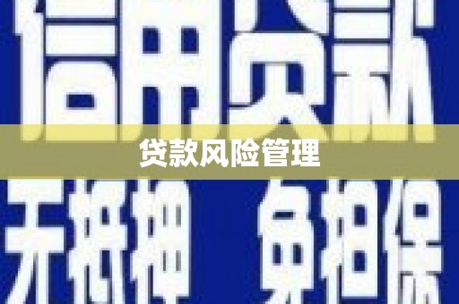 华阴贷款风险管理