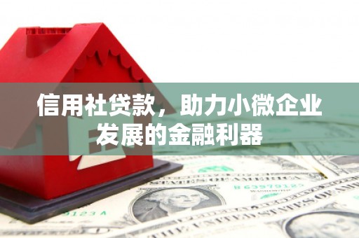 华阴信用社贷款，助力小微企业发展的金融利器
