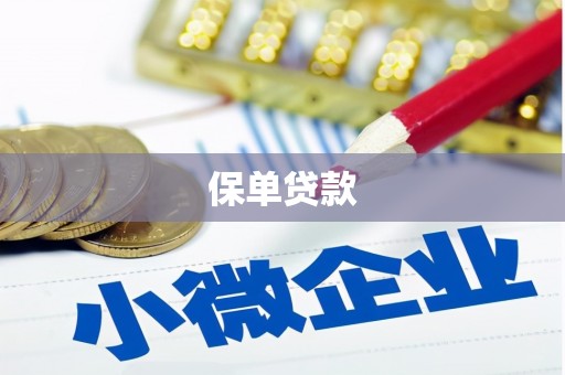 华阴保单贷款