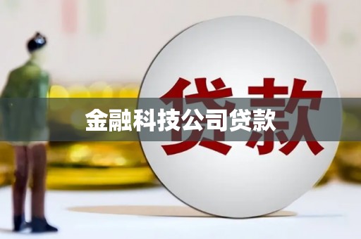 华阴金融科技公司贷款