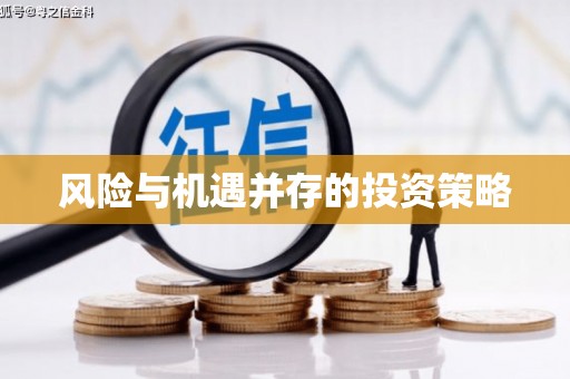 华阴风险与机遇并存的投资策略