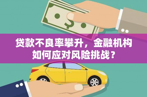 华阴贷款不良率攀升，金融机构如何应对风险挑战？