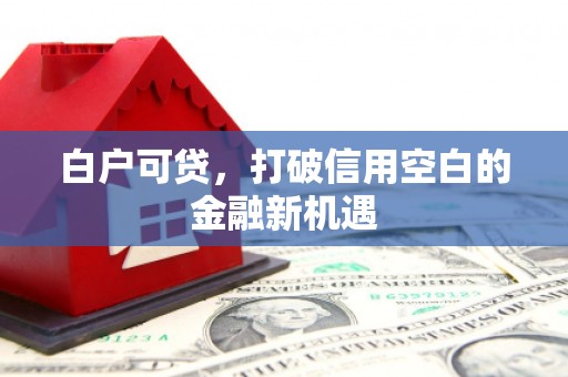 华阴白户可贷，打破信用空白的金融新机遇
