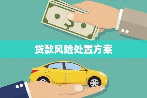 华阴贷款风险处置方案
