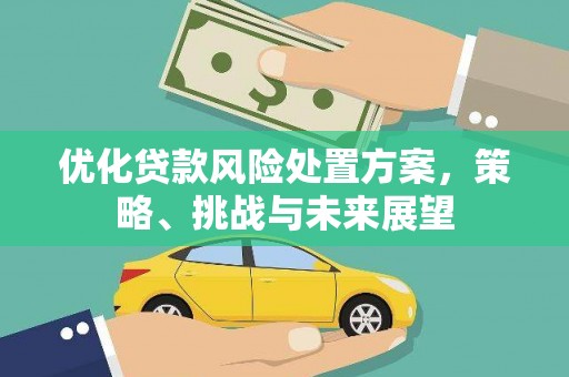 华阴优化贷款风险处置方案，策略、挑战与未来展望