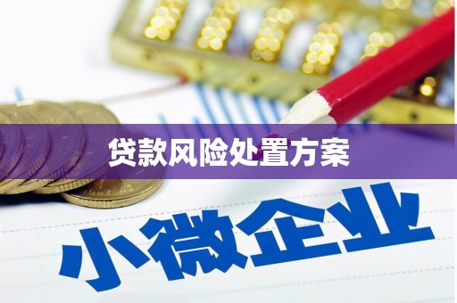 华阴贷款风险处置方案