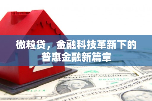 华阴微粒贷，金融科技革新下的普惠金融新篇章
