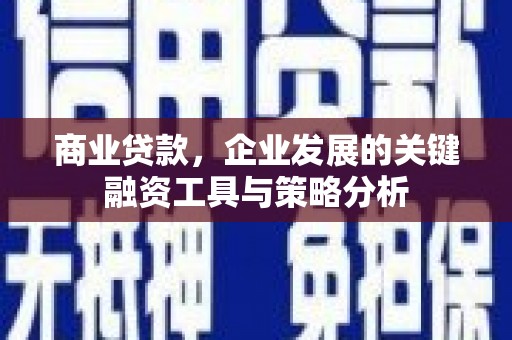 华阴商业贷款，企业发展的关键融资工具与策略分析