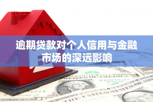 华阴逾期贷款对个人信用与金融市场的深远影响