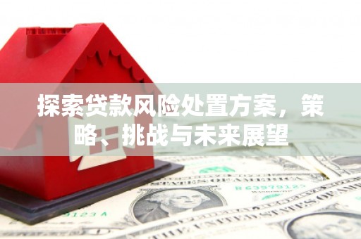 华阴探索贷款风险处置方案，策略、挑战与未来展望