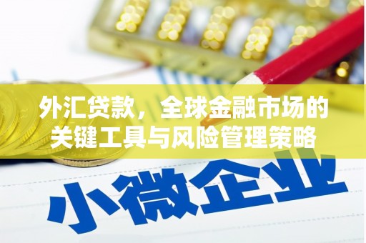 华阴外汇贷款，全球金融市场的关键工具与风险管理策略