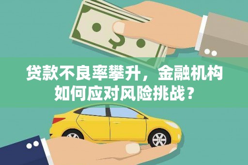 华阴贷款不良率攀升，金融机构如何应对风险挑战？