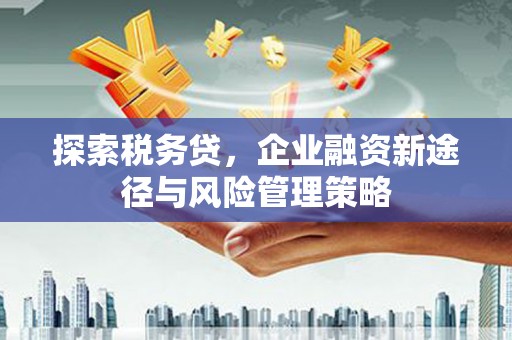 华阴探索税务贷，企业融资新途径与风险管理策略