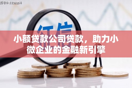 华阴小额贷款公司贷款，助力小微企业的金融新引擎