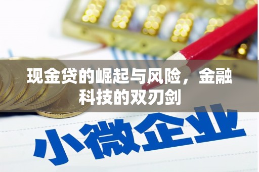 华阴现金贷的崛起与风险，金融科技的双刃剑
