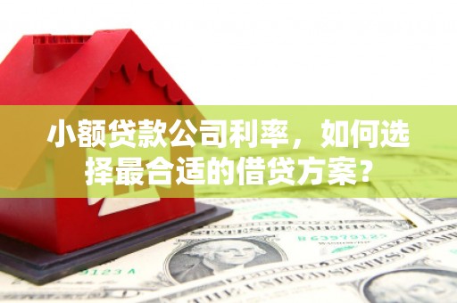 华阴小额贷款公司利率，如何选择最合适的借贷方案？
