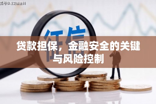 华阴贷款担保，金融安全的关键与风险控制