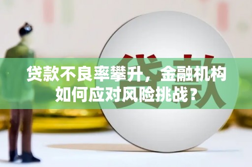 华阴贷款不良率攀升，金融机构如何应对风险挑战？