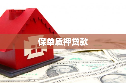 华阴保单质押贷款
