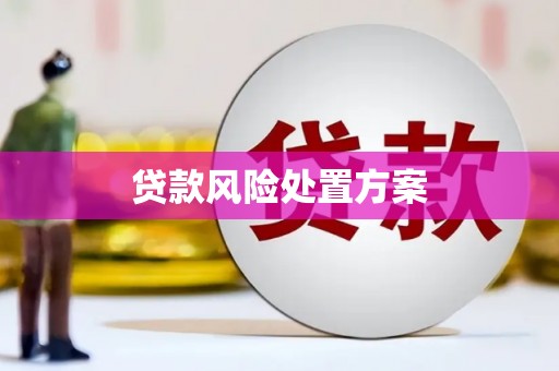 华阴贷款风险处置方案