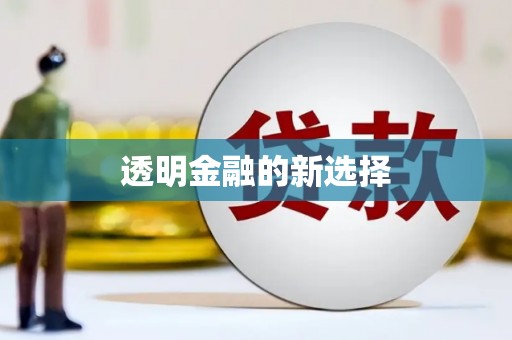 华阴透明金融的新选择