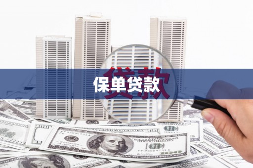 华阴保单贷款